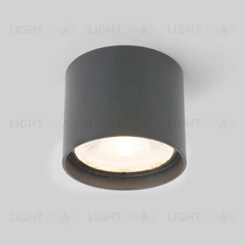 Уличный потолочный светильник Elektrostandard Light LED 4690389177019 4690389177019