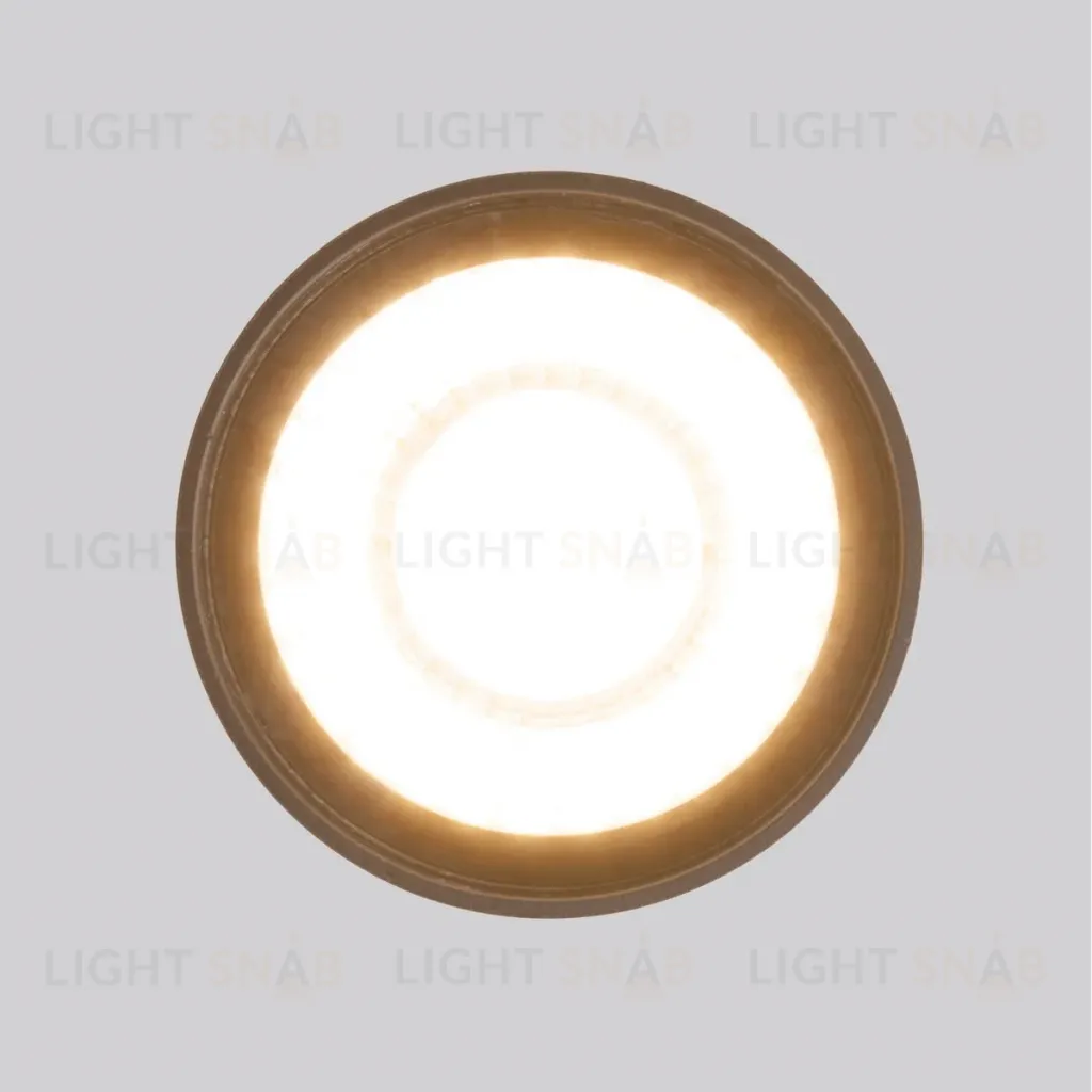 Уличный потолочный светильник Elektrostandard Light LED 4690389176975 4690389176975
