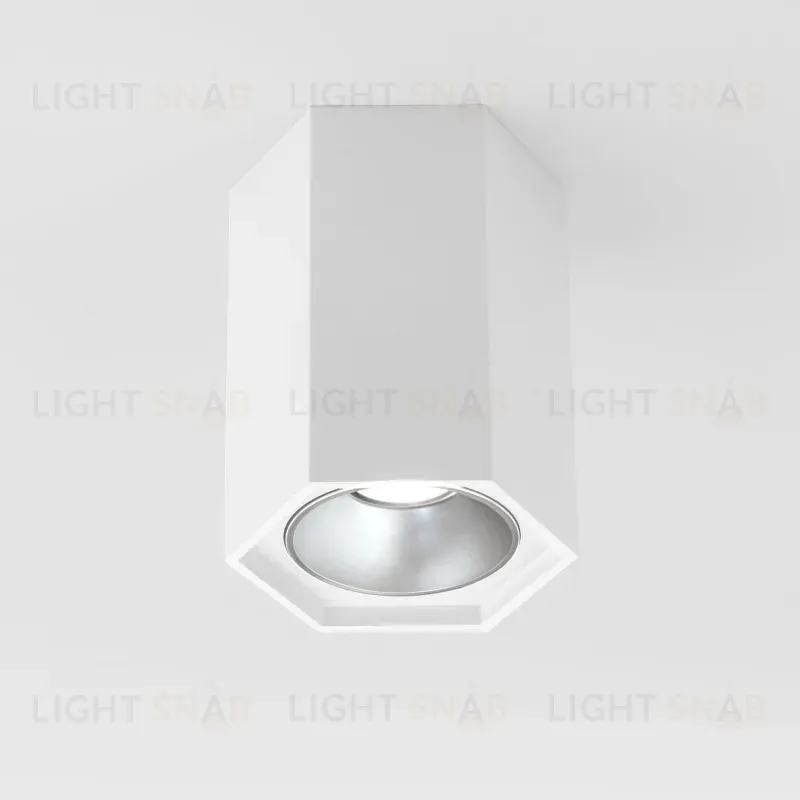 Накладной светодиодный светильник Elektrostandard 25036/LED 4690389176487 4690389176487