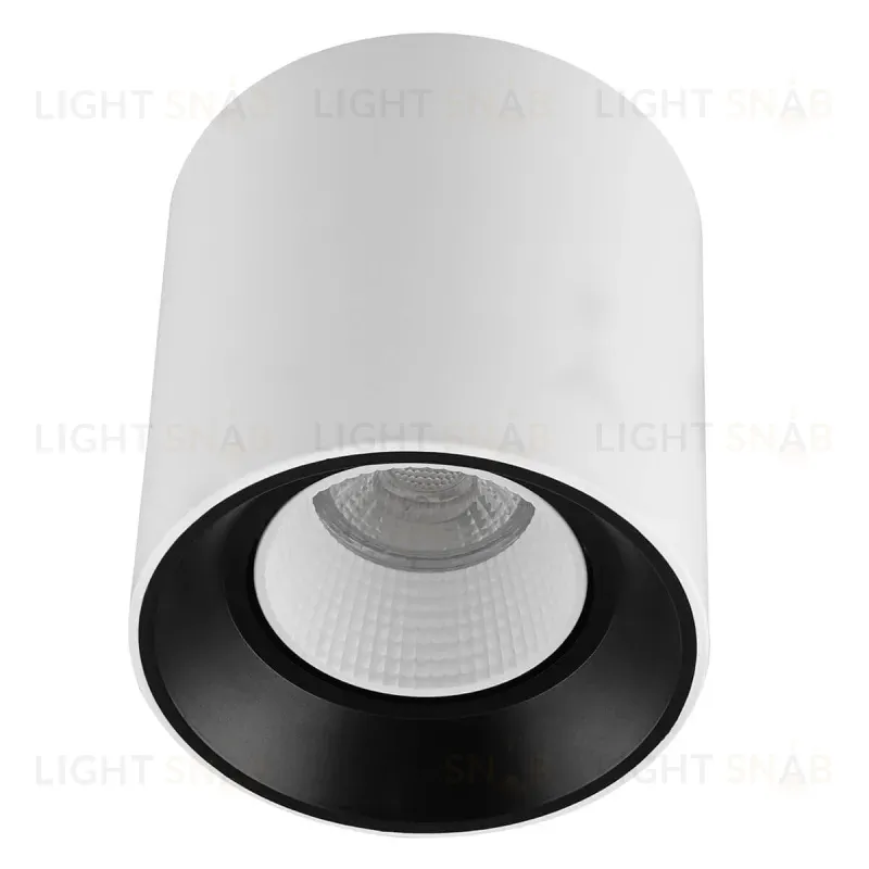 Накладной светильник Denkirs DK3090-WB+WH DK3090-WB+WH