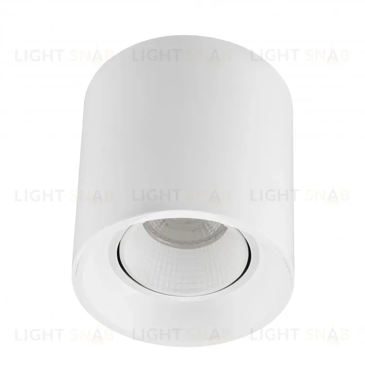 Накладной светильник Denkirs DK3090-WH DK3090-WH