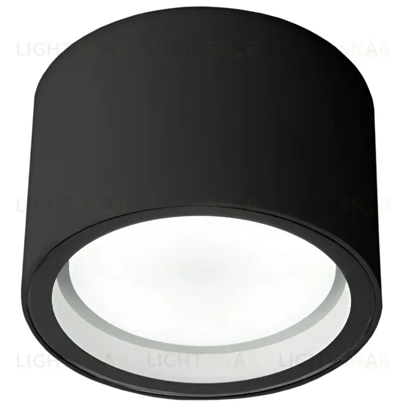 Уличный потолочный светильник Elektrostandard Light 4690389180835 4690389180835