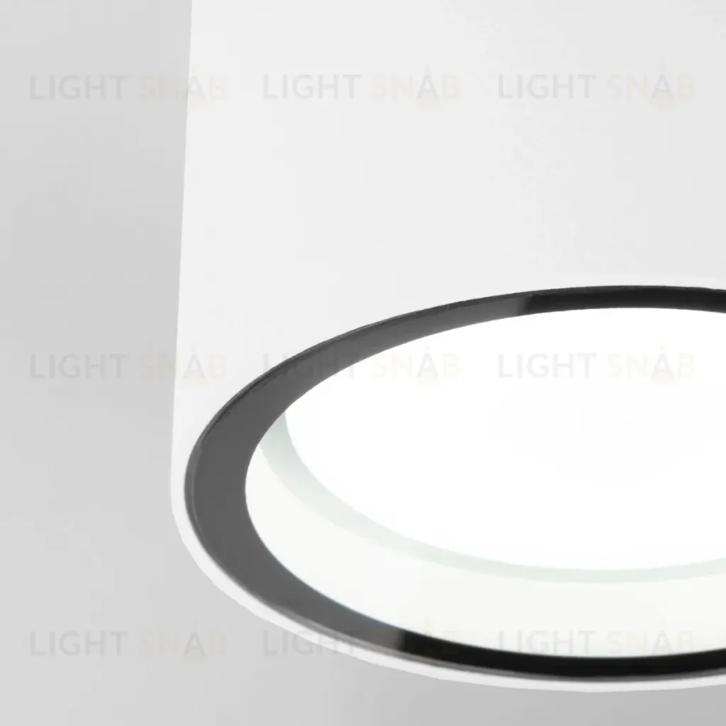 Уличный потолочный светильник Elektrostandard Light 4690389180828 4690389180828