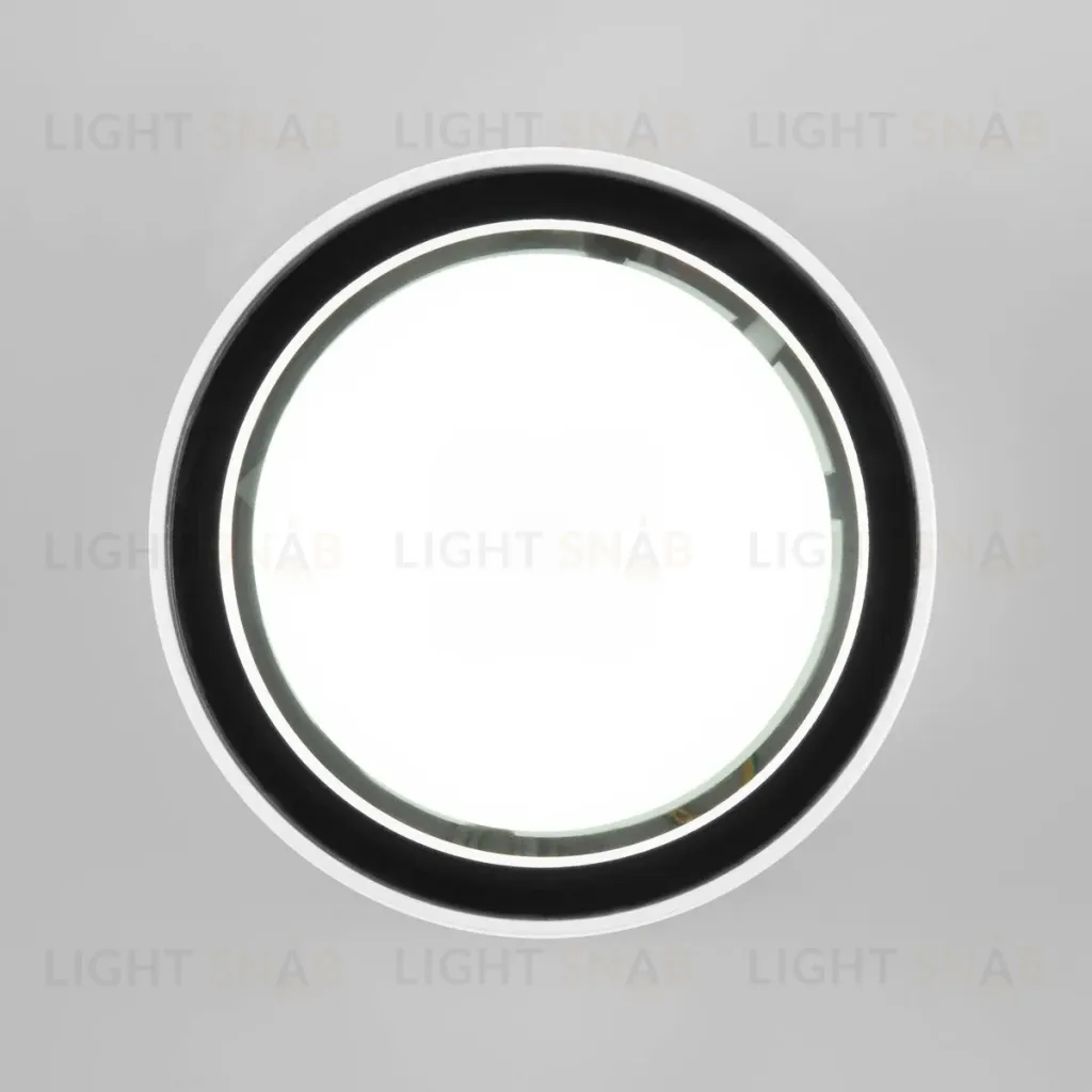 Уличный потолочный светильник Elektrostandard Light 4690389180828 4690389180828
