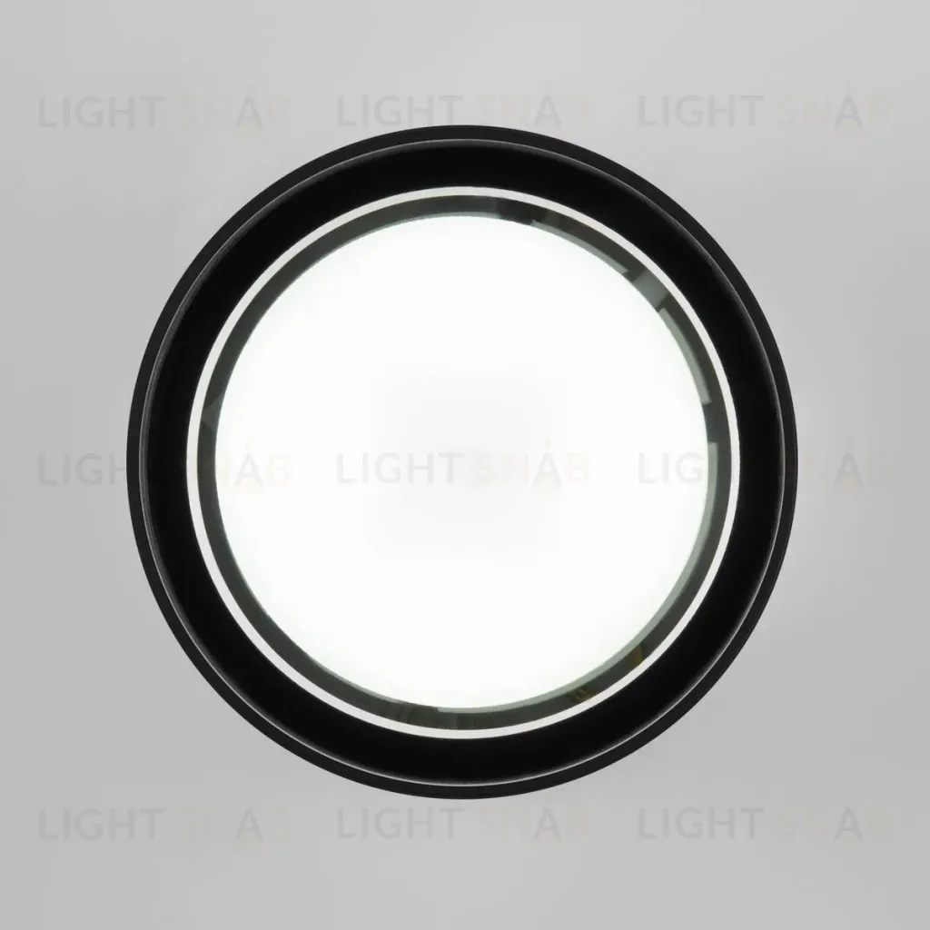 Уличный потолочный светильник Elektrostandard Light 4690389180835 4690389180835