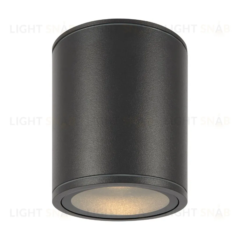 Уличный потолочный светильник Maytoni Bar O306CL-L12GF O306CL-L12GF