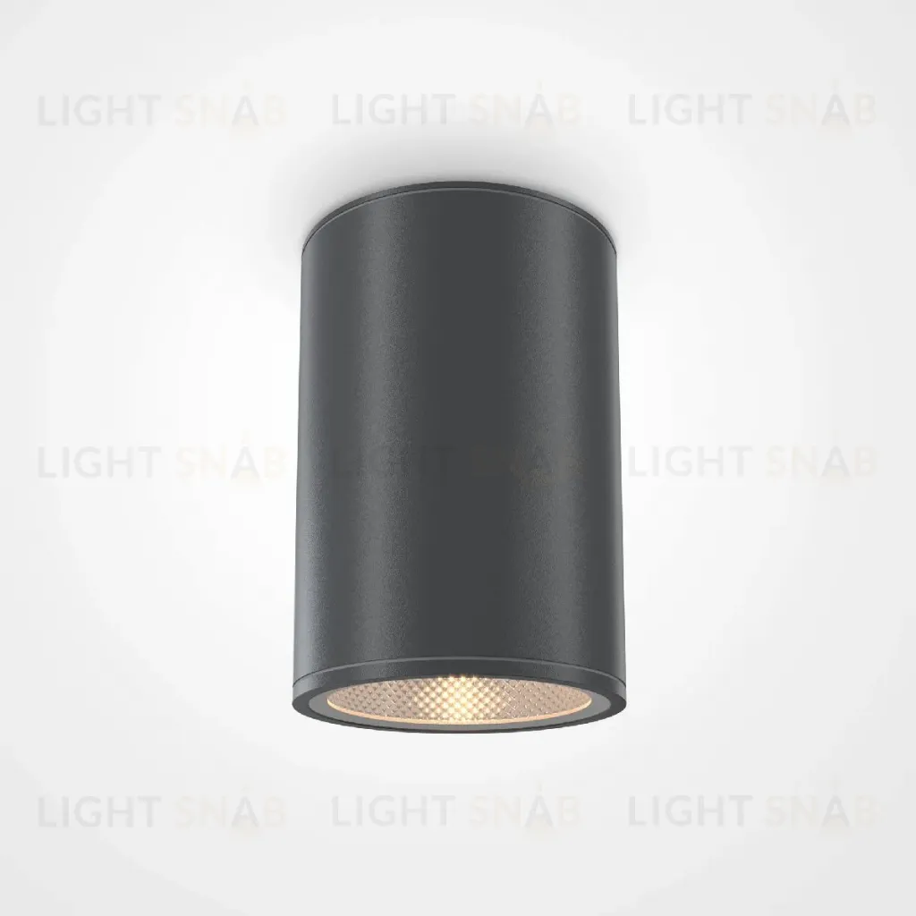 Уличный потолочный светильник Maytoni Bar O306CL-L12GF O306CL-L12GF