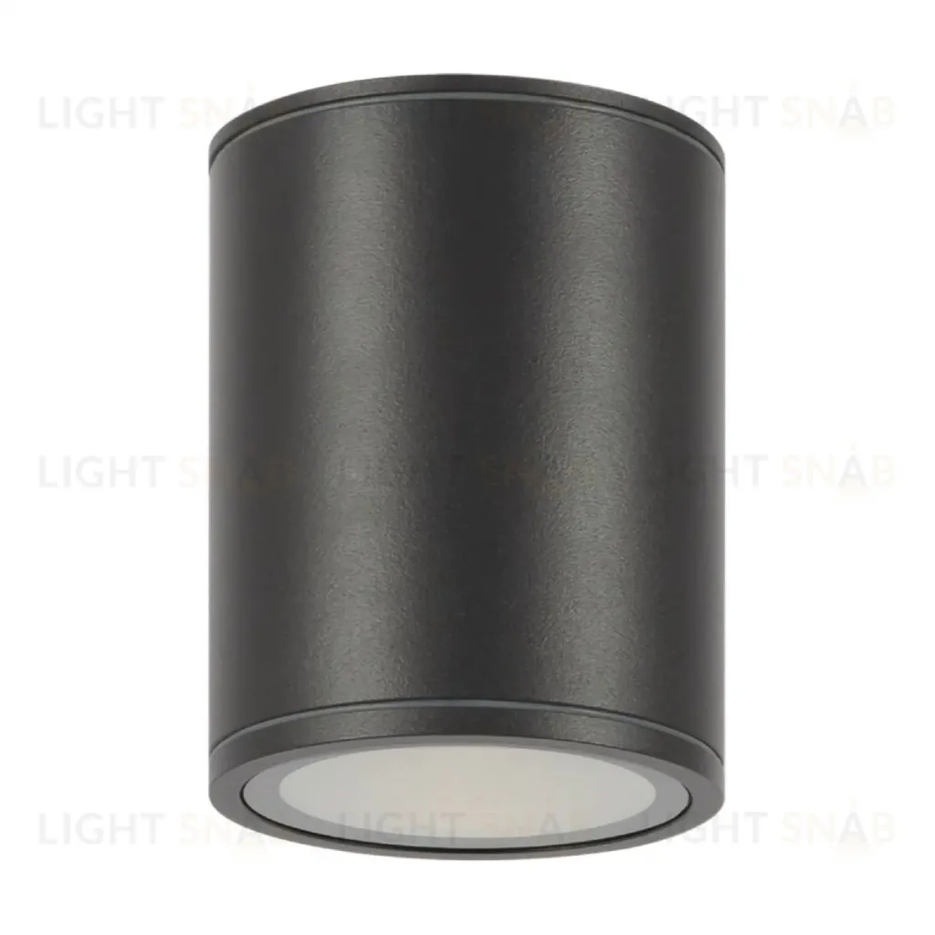 Уличный потолочный светильник Maytoni Bar O306CL-L12GF O306CL-L12GF