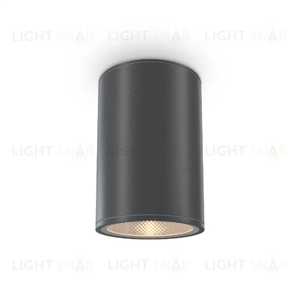 Уличный потолочный светильник Maytoni Bar O306CL-L12GF O306CL-L12GF