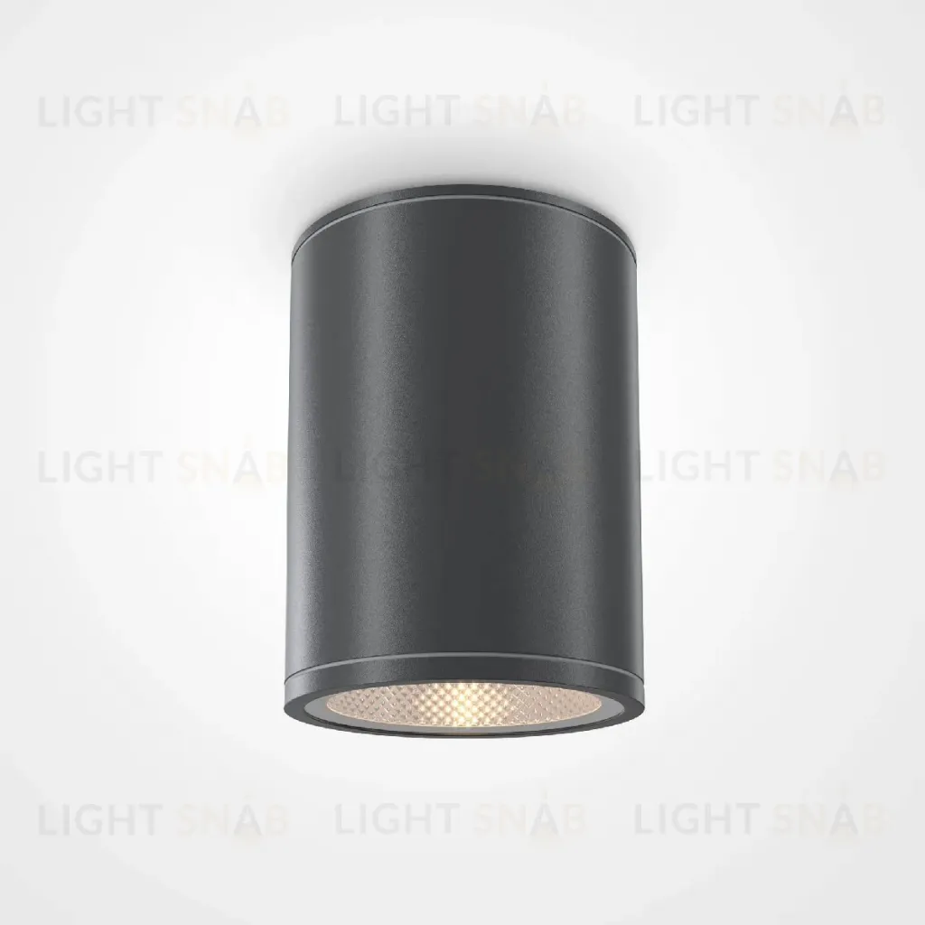 Уличный потолочный светильник Maytoni Bar O306CL-L7GF O306CL-L7GF