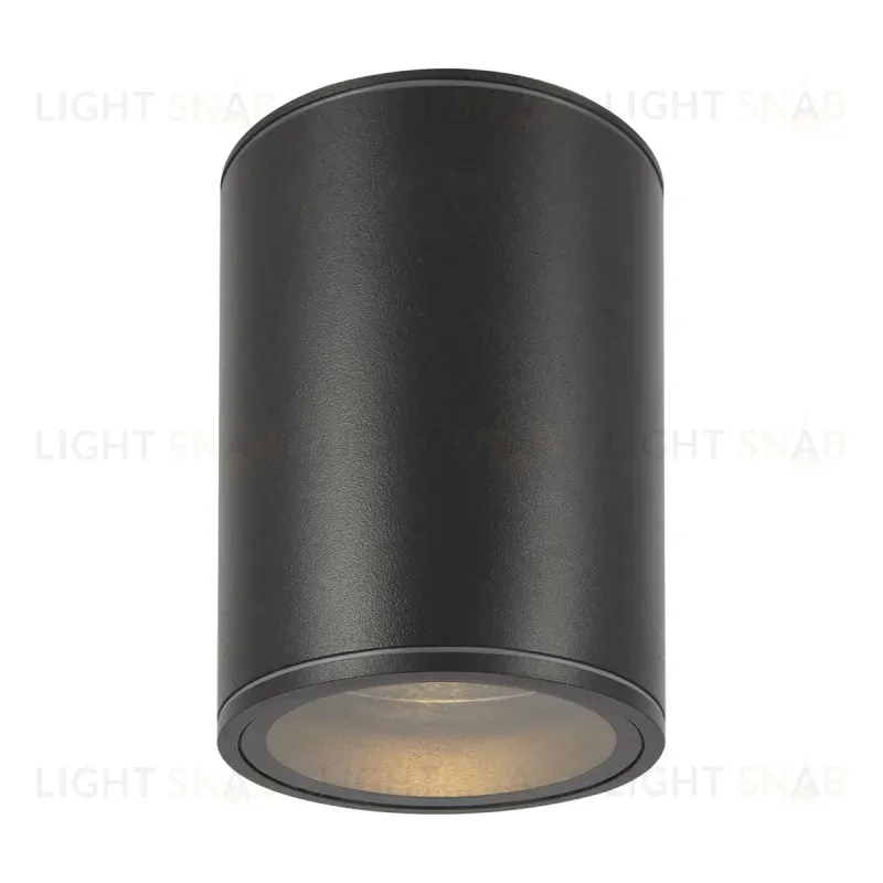 Уличный потолочный светильник Maytoni Bar O306CL-L7GF O306CL-L7GF