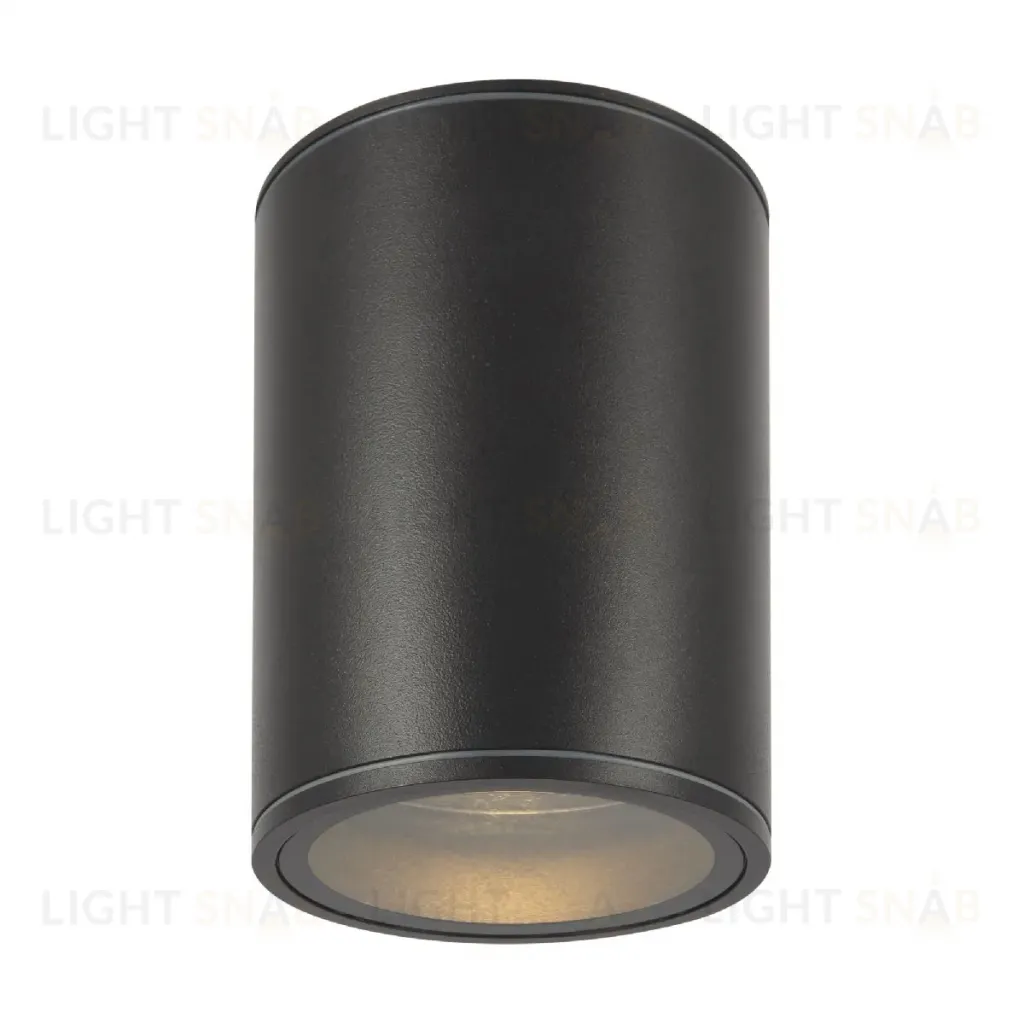 Уличный потолочный светильник Maytoni Bar O306CL-L7GF O306CL-L7GF