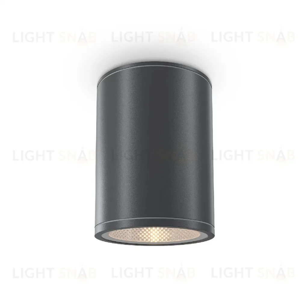 Уличный потолочный светильник Maytoni Bar O306CL-L7GF O306CL-L7GF