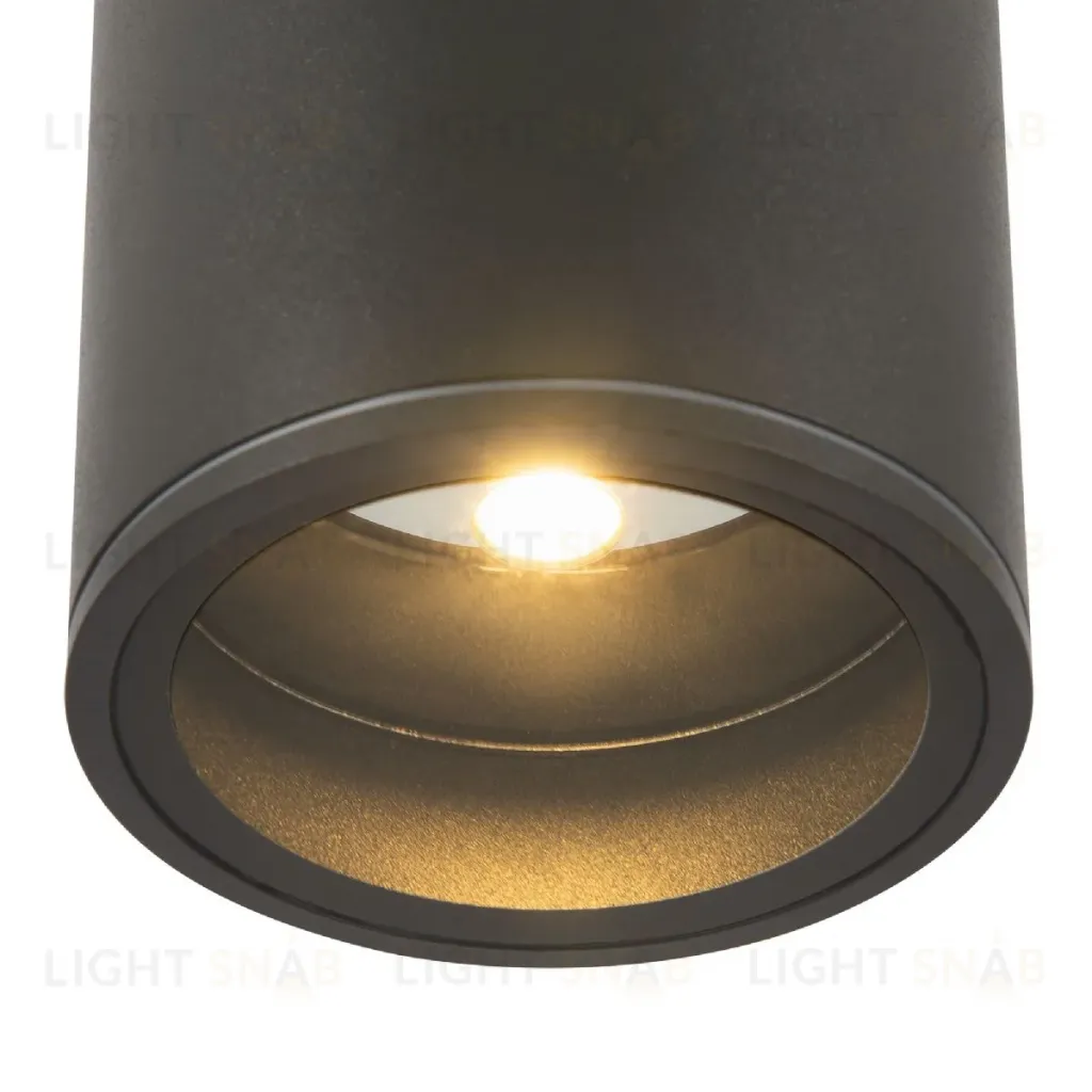 Уличный потолочный светильник Maytoni Bar O306CL-L7GF O306CL-L7GF