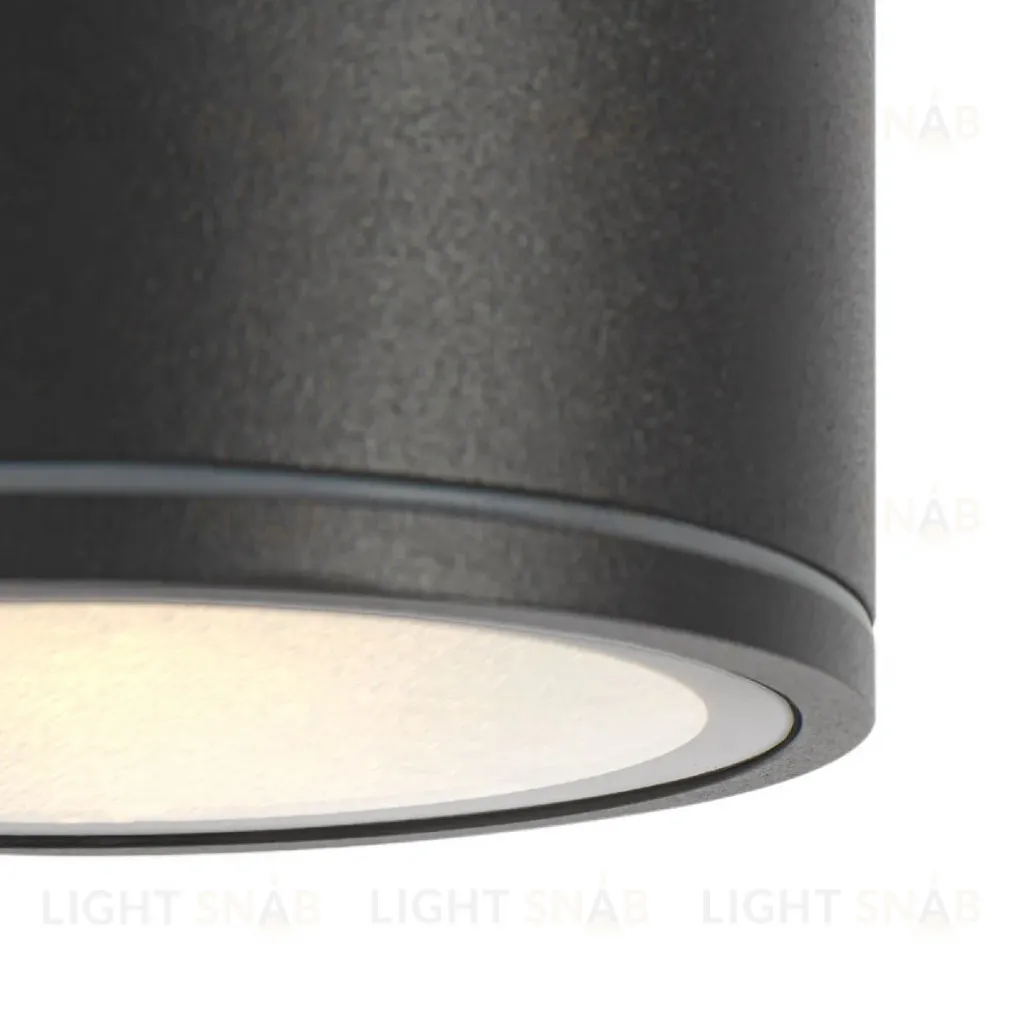 Уличный потолочный светильник Maytoni Bar O306CL-L7GF O306CL-L7GF