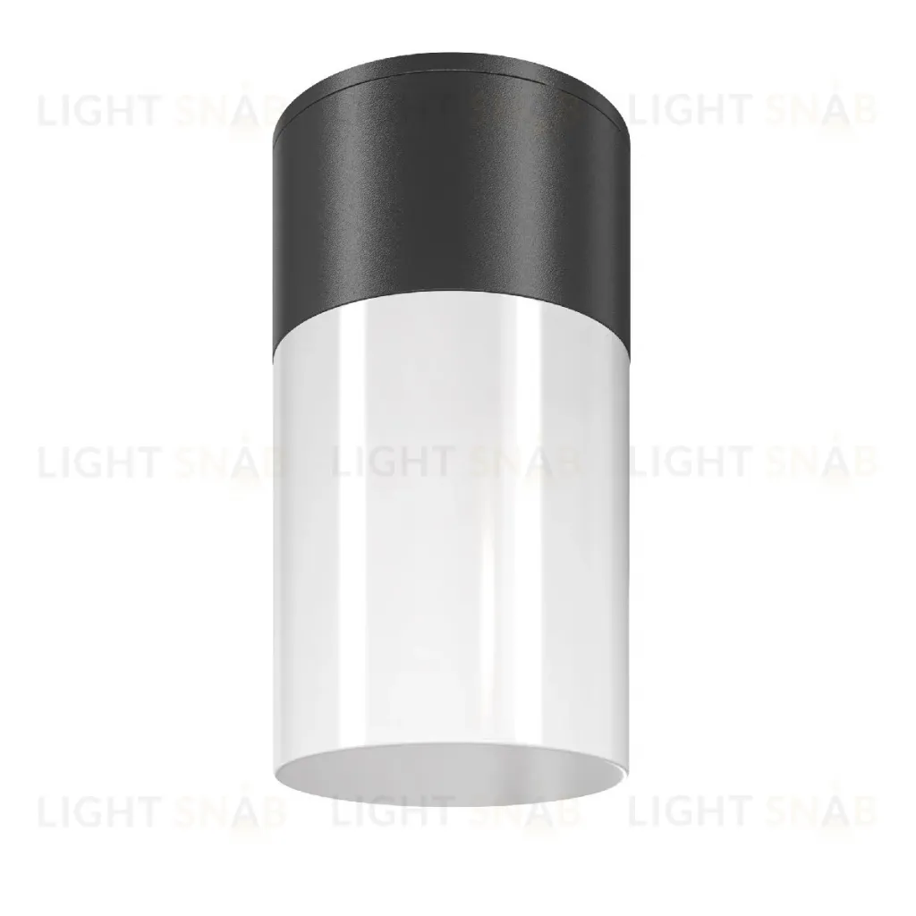 Уличный потолочный светильник Maytoni Willis O418CL-01B O418CL-01B