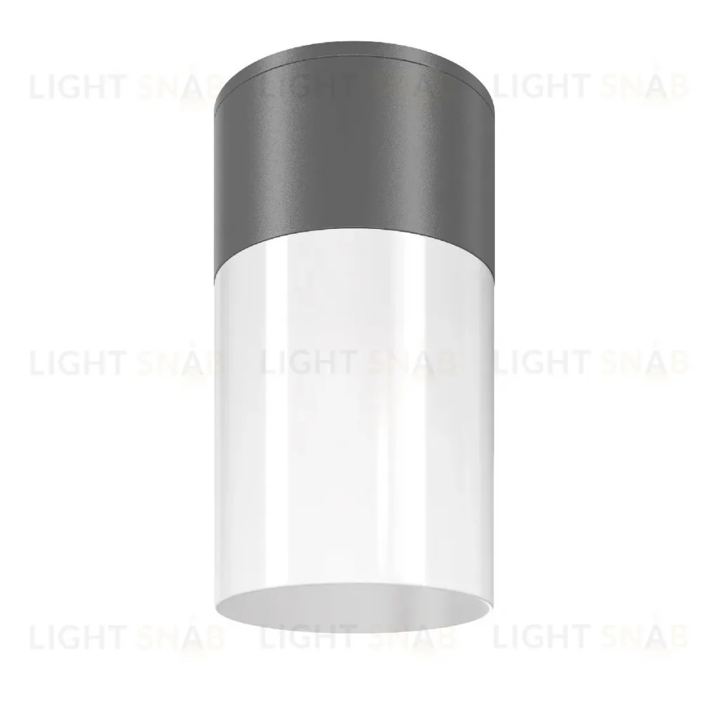 Уличный потолочный светильник Maytoni Willis O418CL-01GR O418CL-01GR