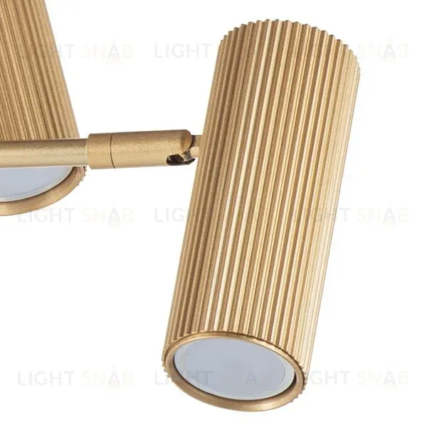 Люстра на штанге Lightstar Roma 718263 718263