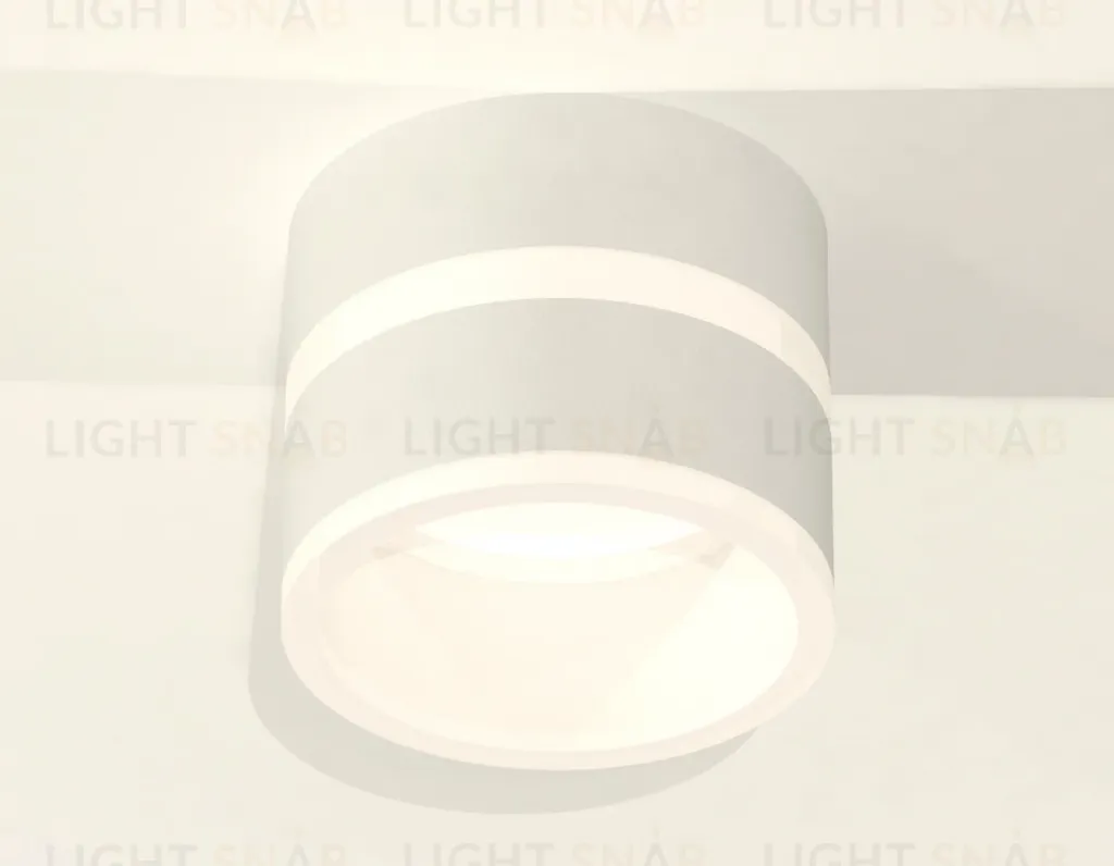Потолочный светильник Ambrella Light Techno Spot XS8101019 (C8101, N8444) XS8101019