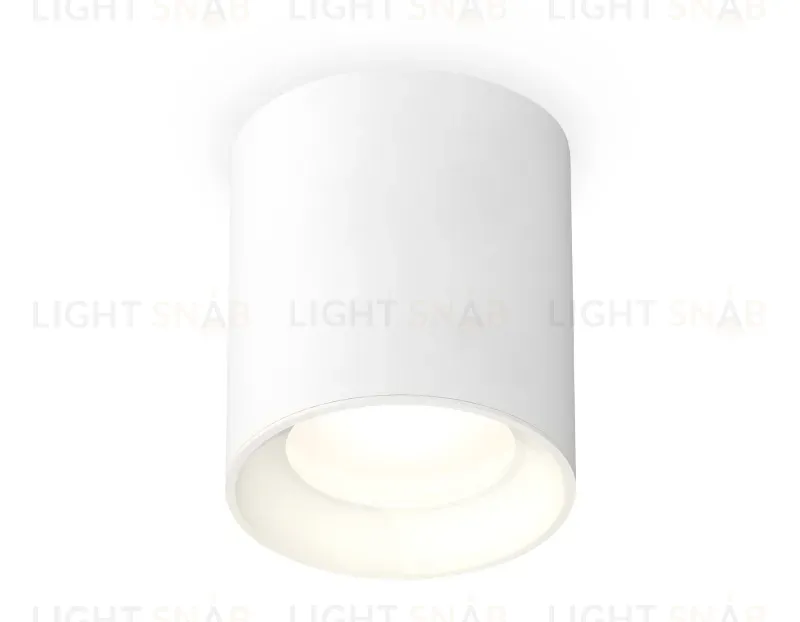 Потолочный светильник Ambrella Light Techno Spot XS7421010 (C7421, N7020) XS7421010