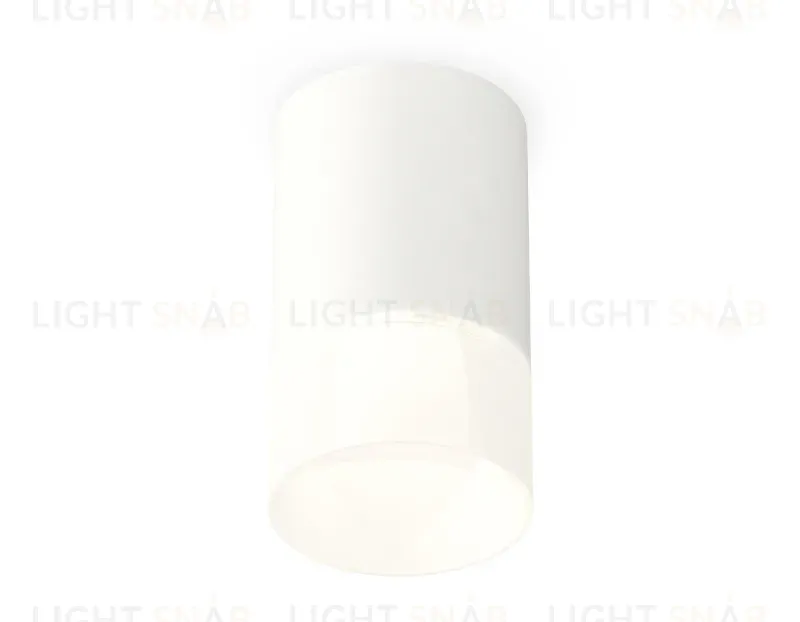 Потолочный светильник Ambrella Light Techno Spot XS7421025 (C7421, N7170) XS7421025