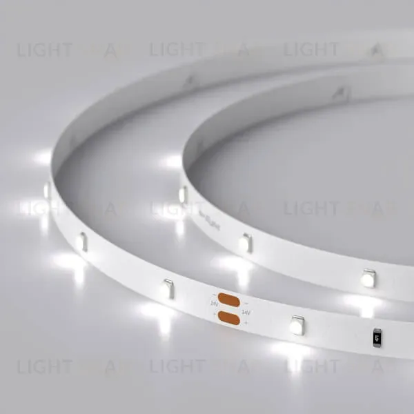 Светодиодная лента Arlight RT-A30-8mm 24V White6000 (2.9 W/m, IP20, 2835, 5m) 019917(2) 019917(2)