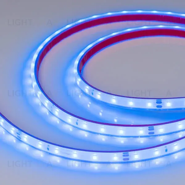 Светодиодная лента герметичная Arlight RTW-PFS-A60-11mm 24V Blue (4.8 W/m, IP68, 2835, 5m) 034160 034160