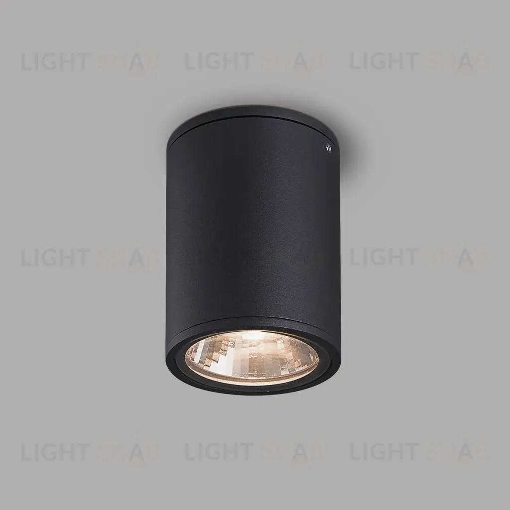 Уличный потолочный светильник Arlight LGD-Forma-Surface-R90-12W Day4000 037260 037260