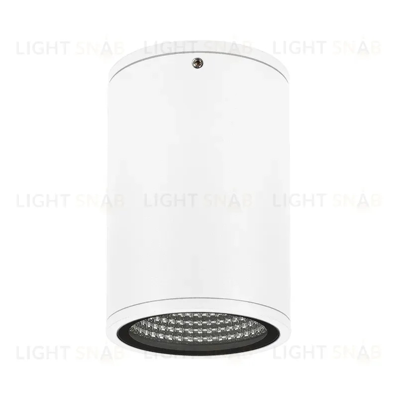 Уличный потолочный светильник Arlight LGD-Forma-Surface-R90-12W Warm3000 037261 037261