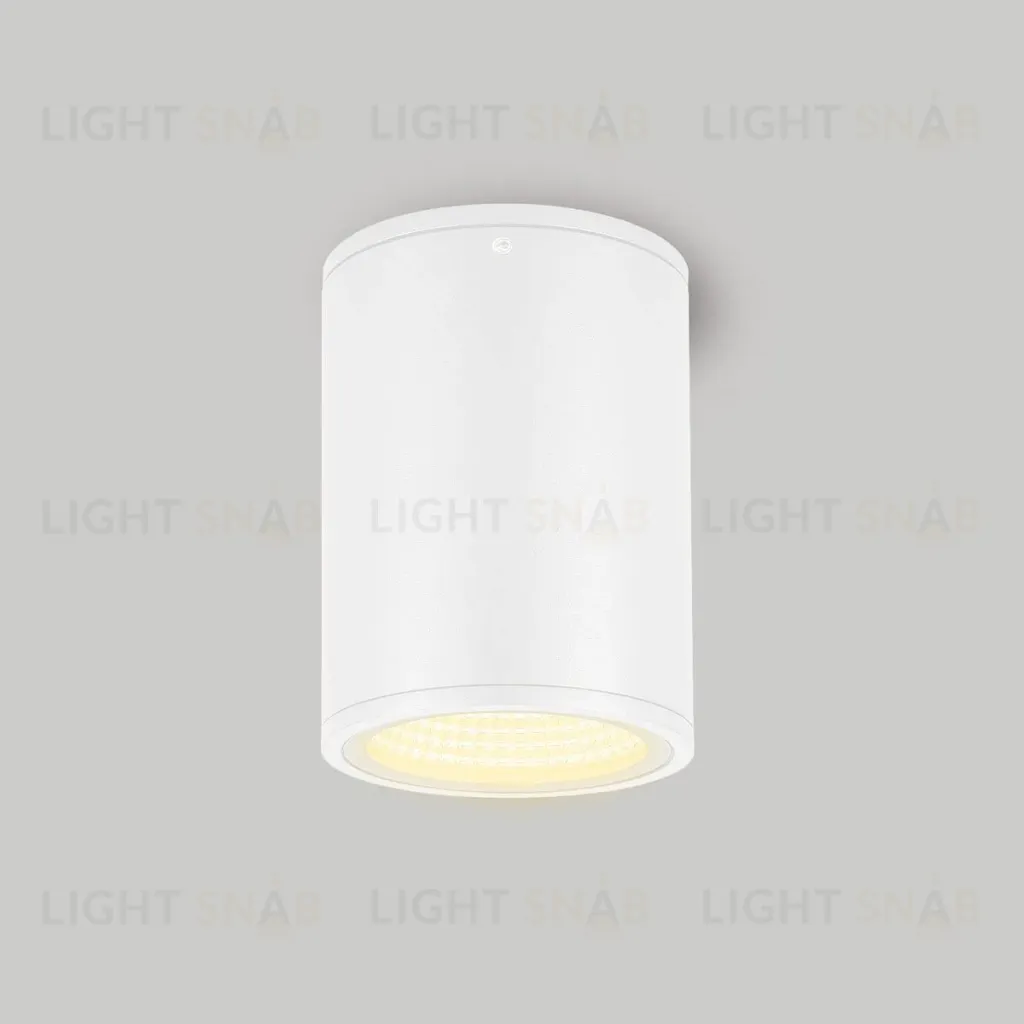 Уличный потолочный светильник Arlight LGD-Forma-Surface-R90-12W Warm3000 037261 037261