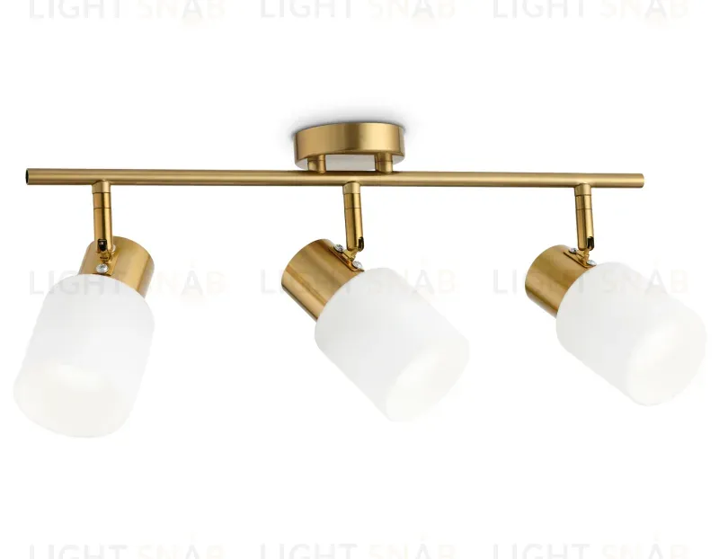Спот Ambrella Light Traditional TR3972 TR3972