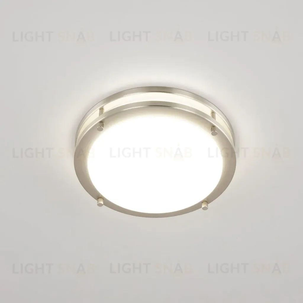 Настенно-потолочный светильник Citilux Бостон CL709201N CL709201N