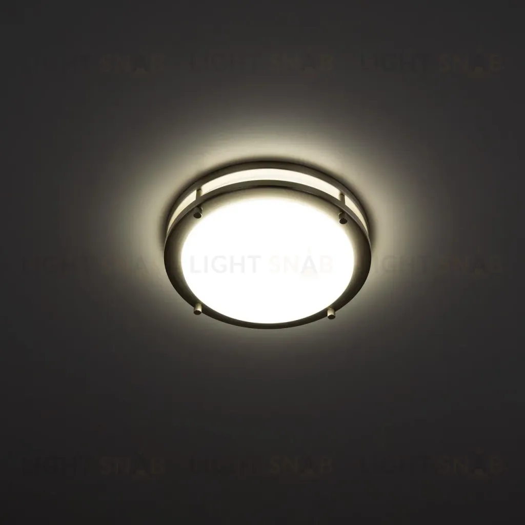 Настенно-потолочный светильник Citilux Бостон CL709201N CL709201N