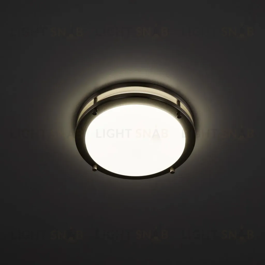 Настенно-потолочный светильник Citilux Бостон CL709201N CL709201N