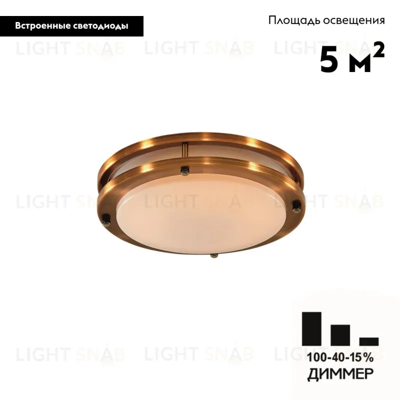 Настенно-потолочный светильник Citilux Бостон CL709203N CL709203N