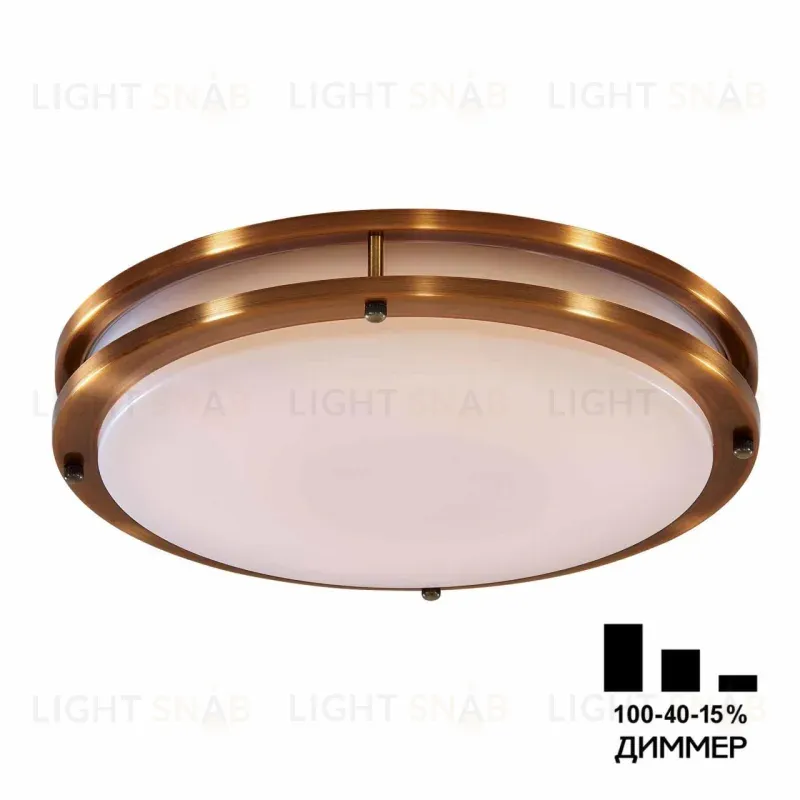 Настенно-потолочный светильник Citilux Бостон CL709503N CL709503N