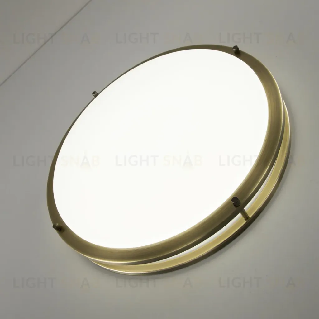 Настенно-потолочный светильник Citilux Бостон CL709503N CL709503N