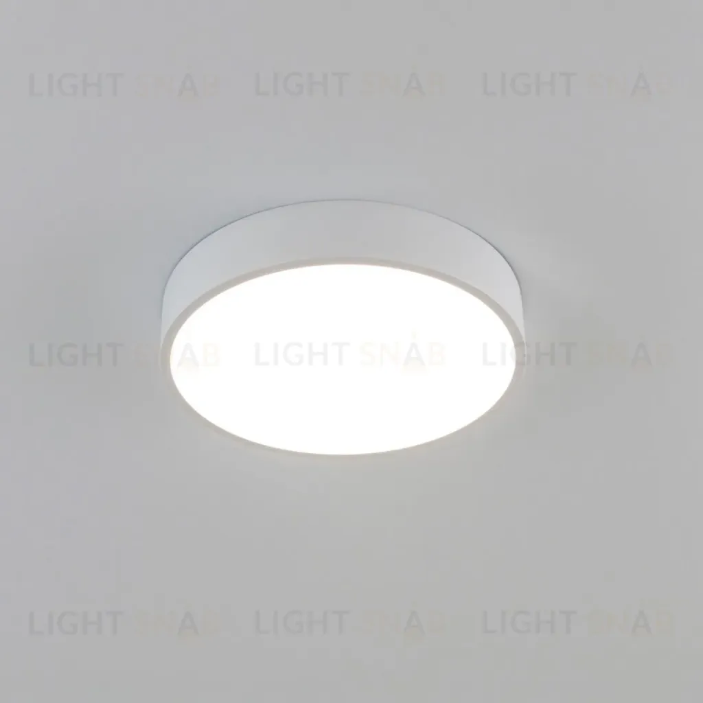 Потолочный светильник Citilux Купер CL72424V0 CL72424V0