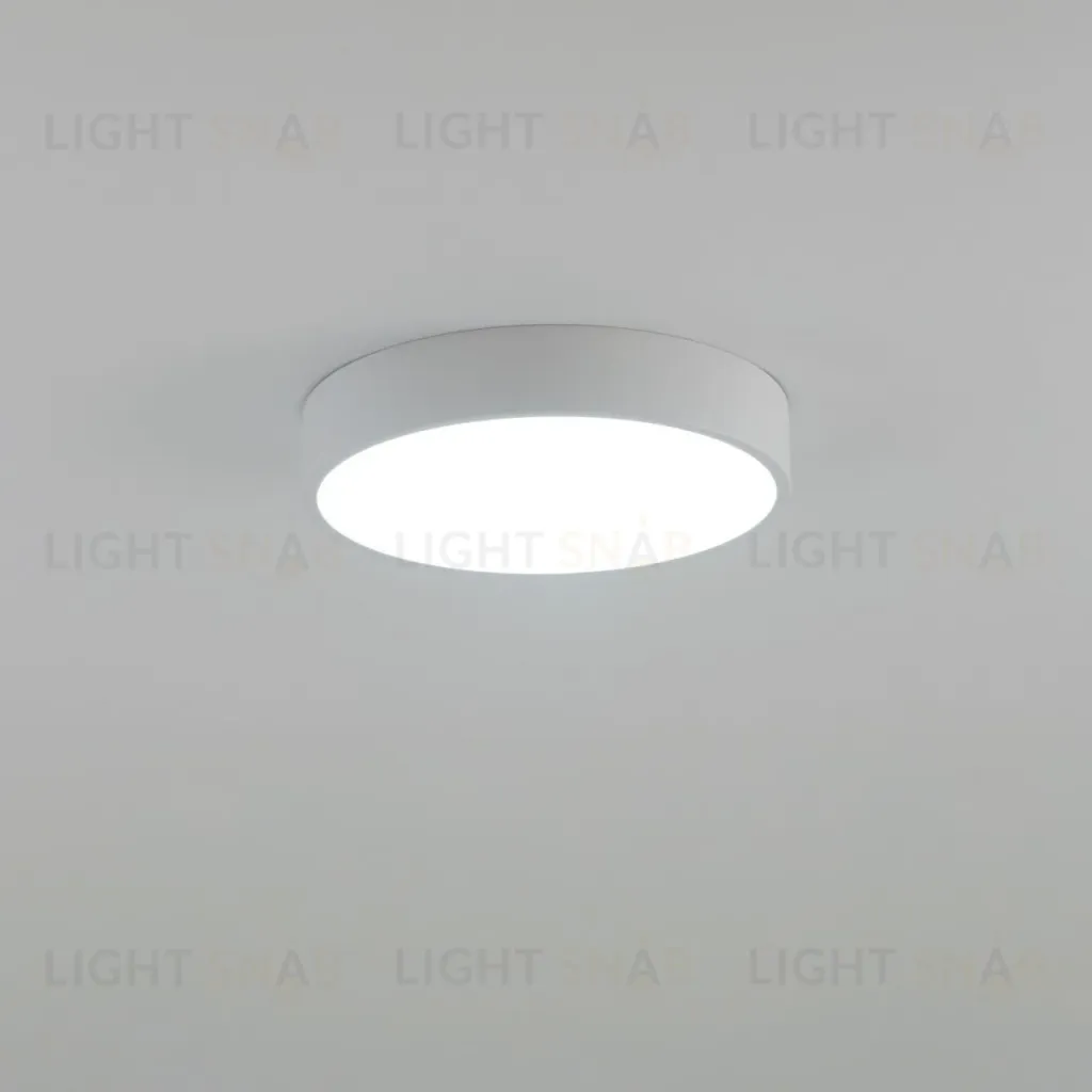 Потолочный светильник Citilux Купер CL72424V0 CL72424V0