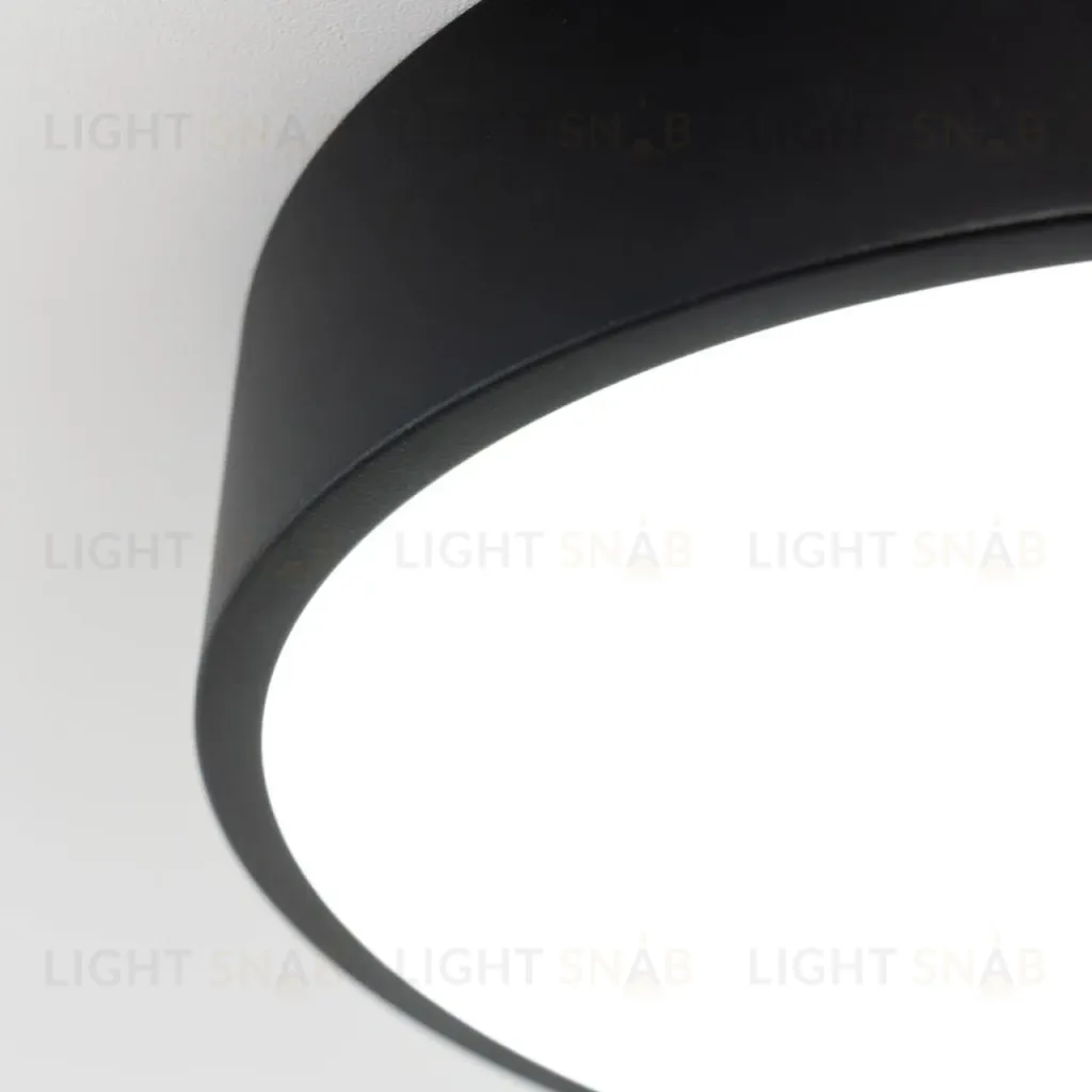 Потолочный светильник Citilux Купер CL72424V1 CL72424V1