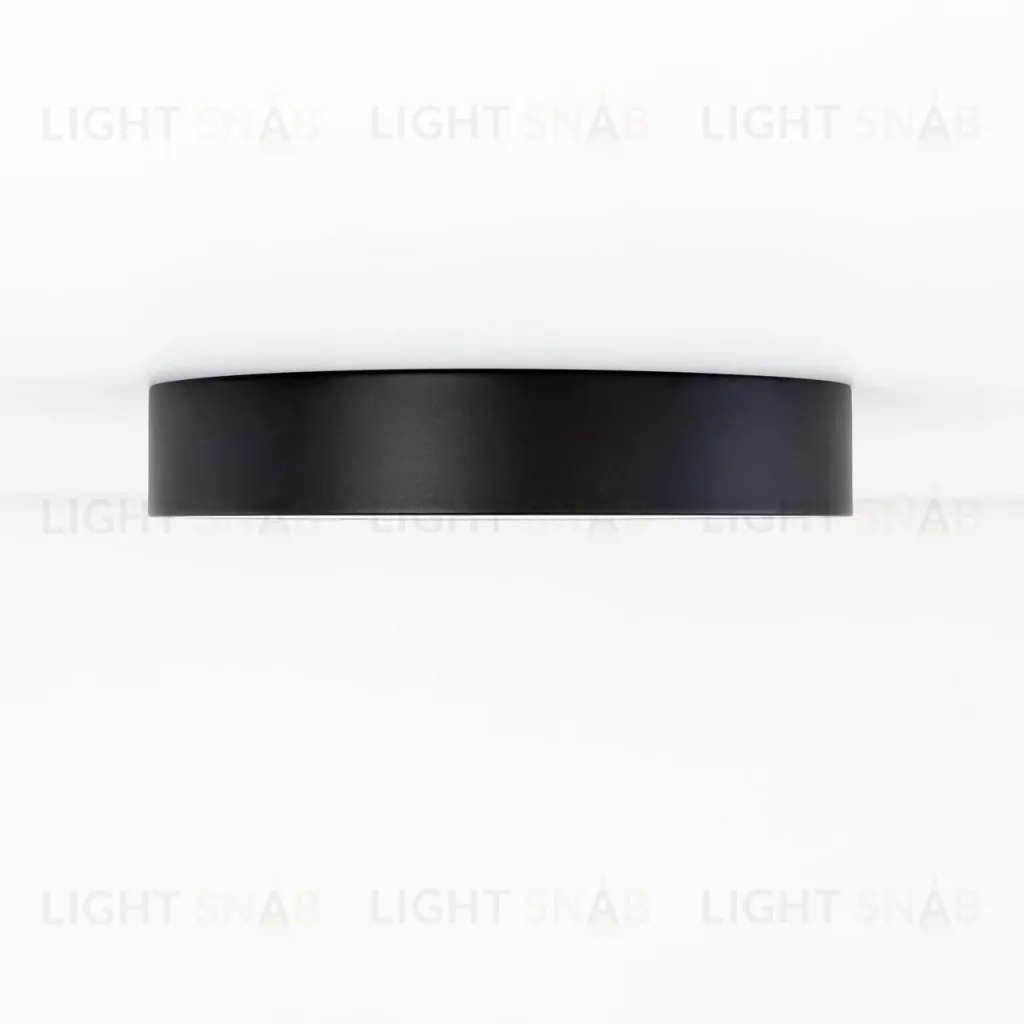 Потолочный светильник Citilux Купер CL72424V1 CL72424V1