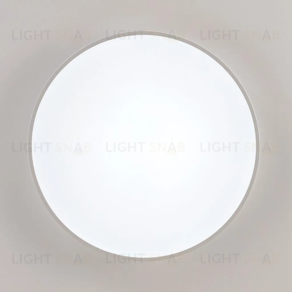 Потолочный светильник Citilux Купер CL72495G0 CL72495G0