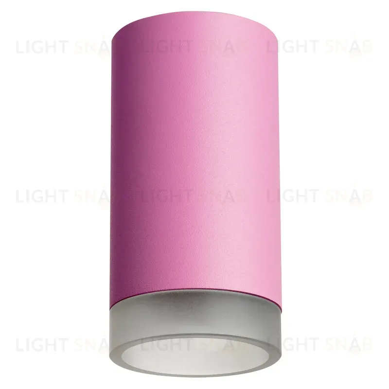 Накладной светильник Lightstar Rullo R43230 (214432+202430) R43230
