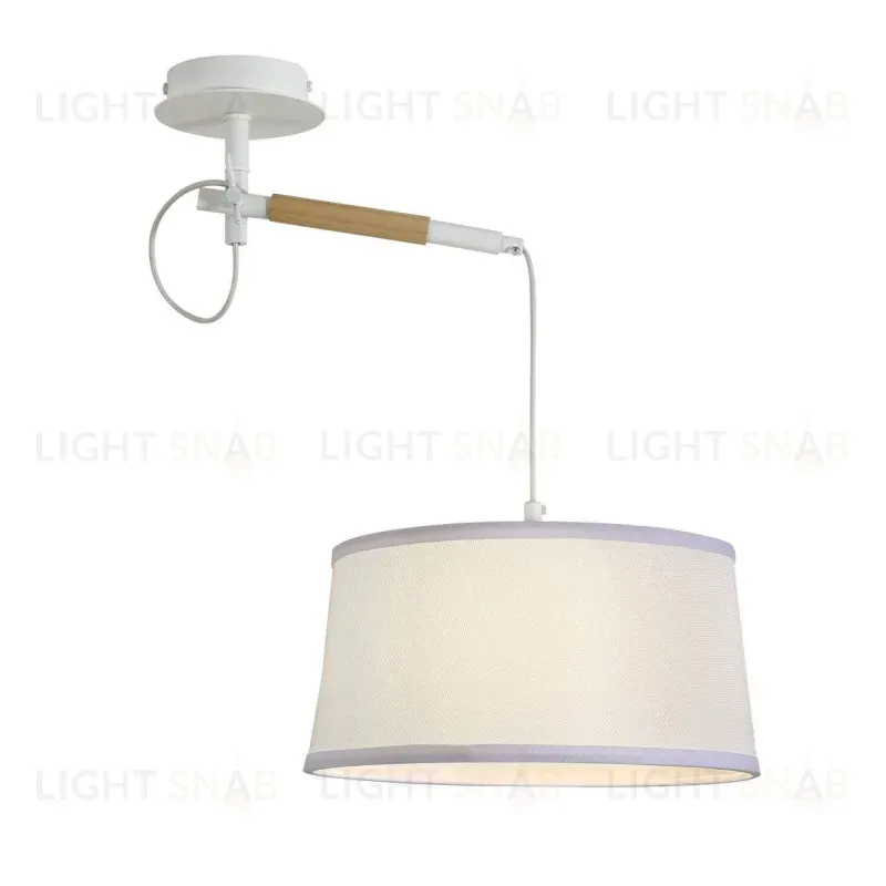 Настенно-потолочный светильник F-Promo Eureka 3005-1P 3005-1P