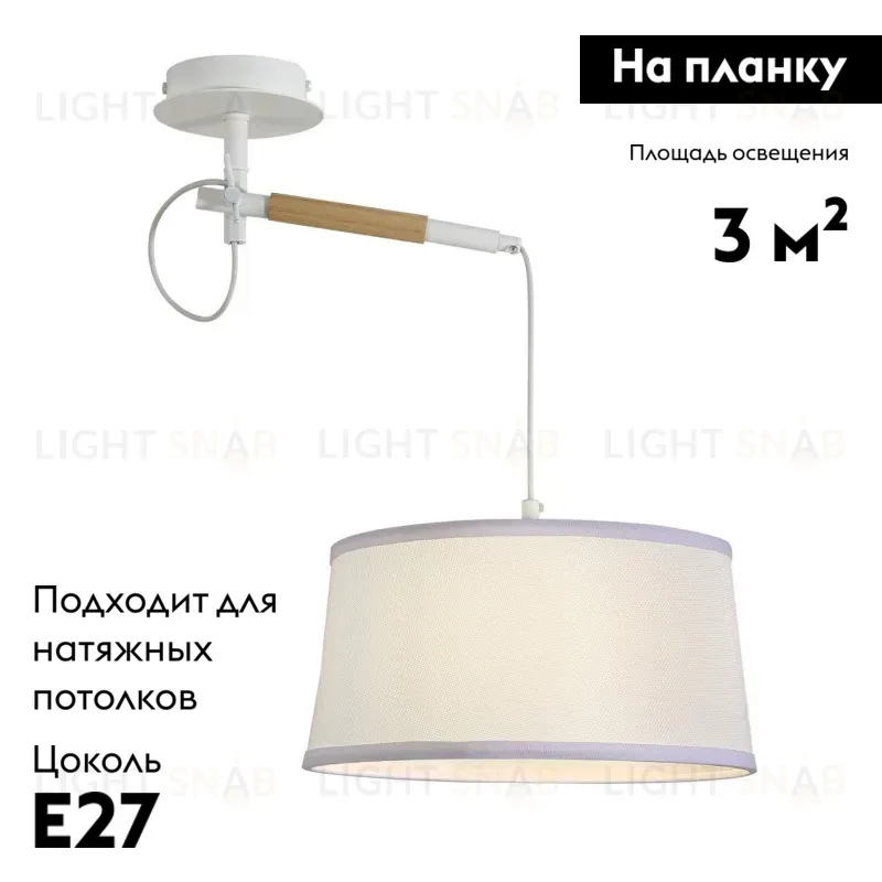 Настенно-потолочный светильник F-Promo Eureka 3005-1P 3005-1P