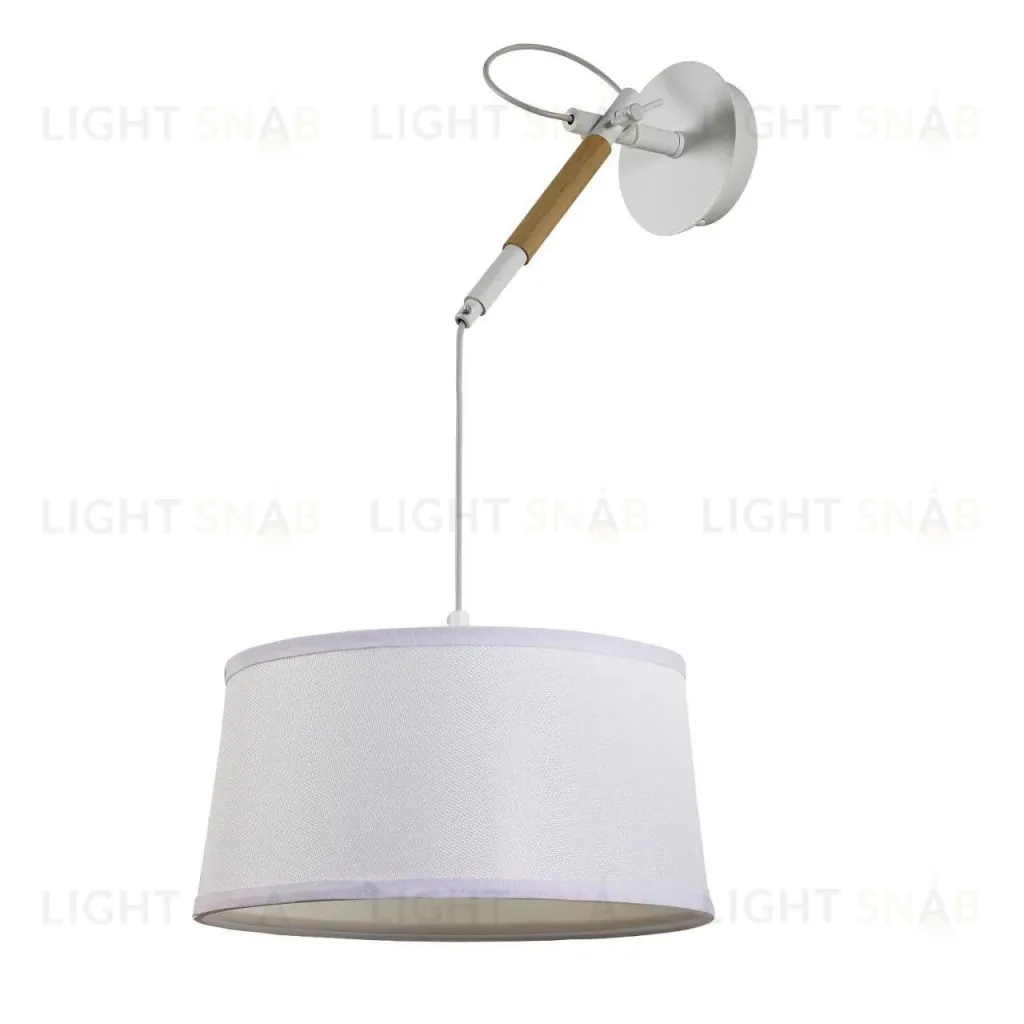 Настенно-потолочный светильник F-Promo Eureka 3005-1P 3005-1P