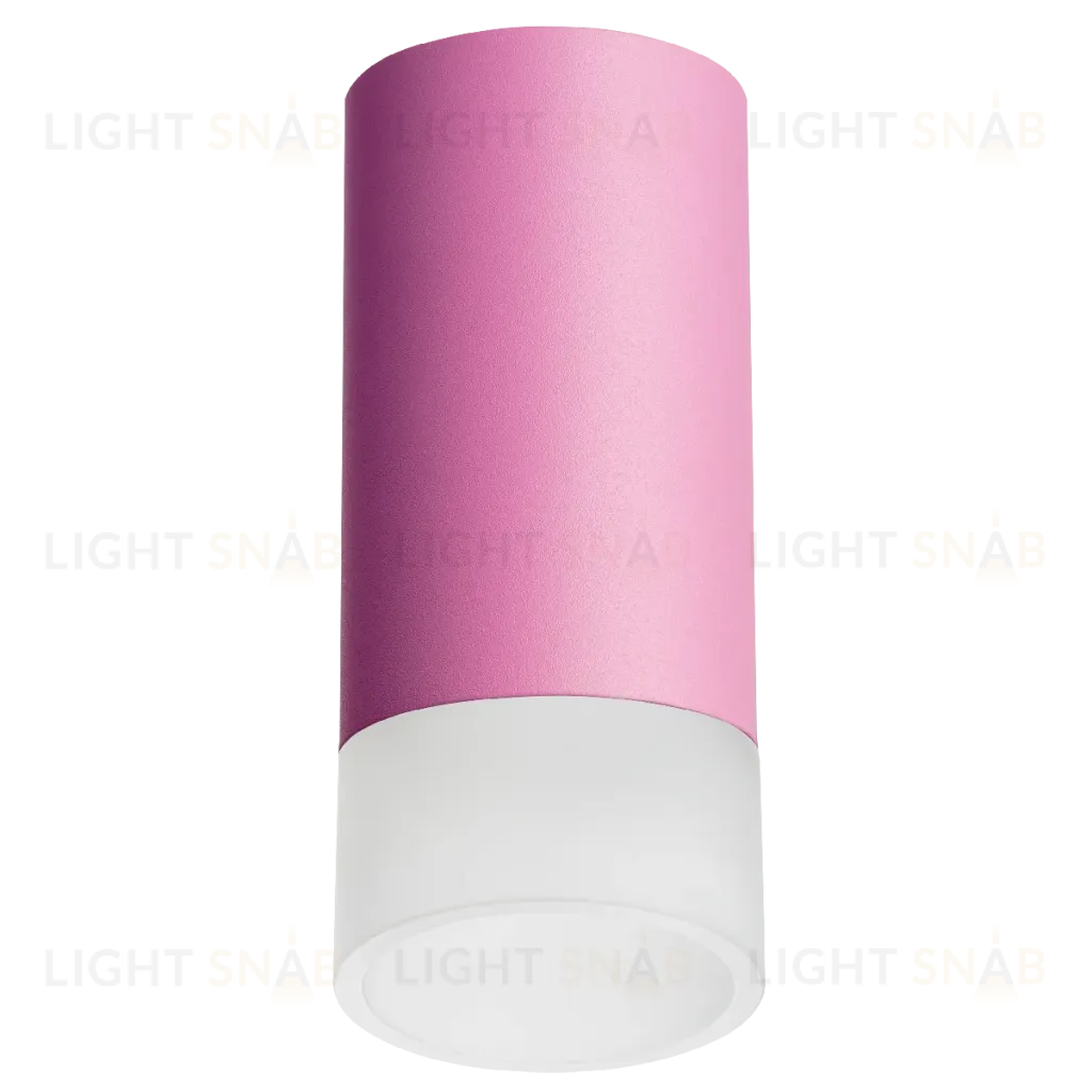 Накладной светильник Lightstar Rullo R43231 (214432+202431) R43231