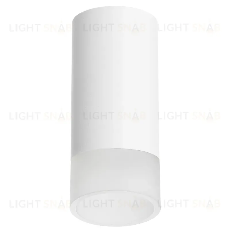 Накладной светильник Lightstar Rullo R43631 (214436+202431) R43631
