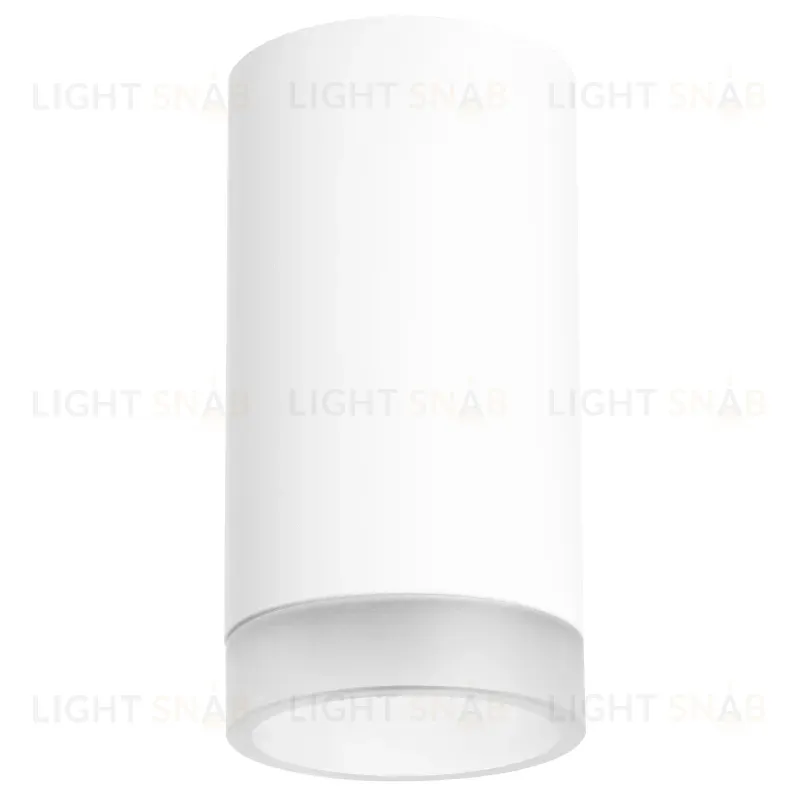 Накладной светильник Lightstar Rullo R4363437 (214436+203437) R4363437