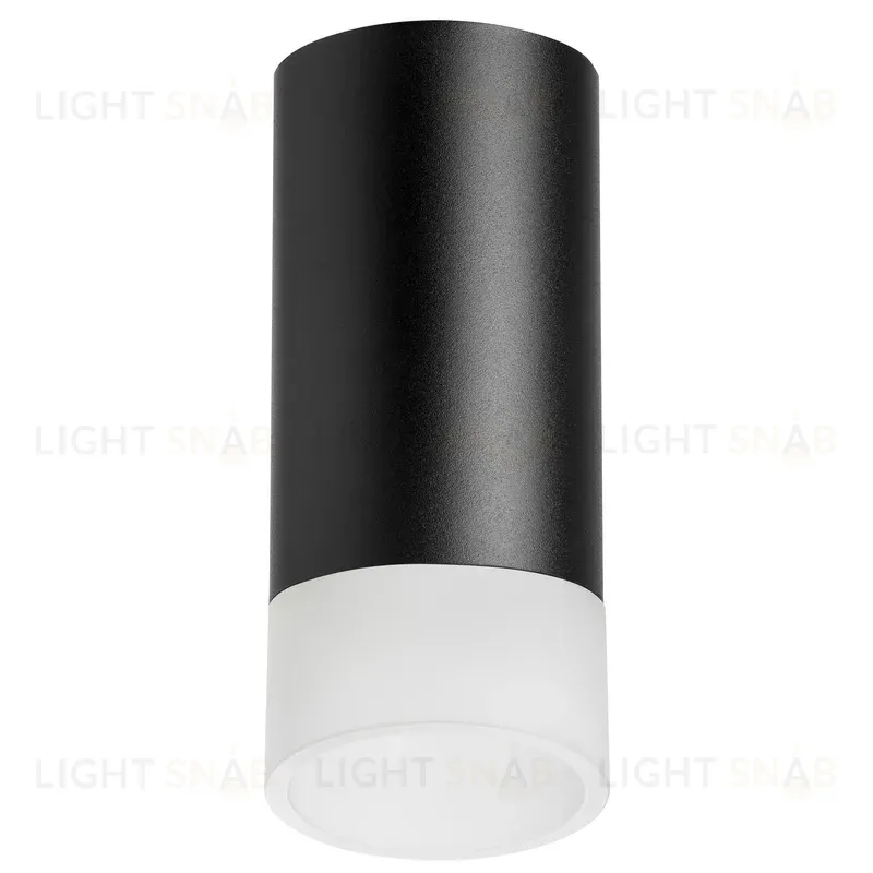 Накладной светильник Lightstar Rullo R43731 (214437+202431) R43731